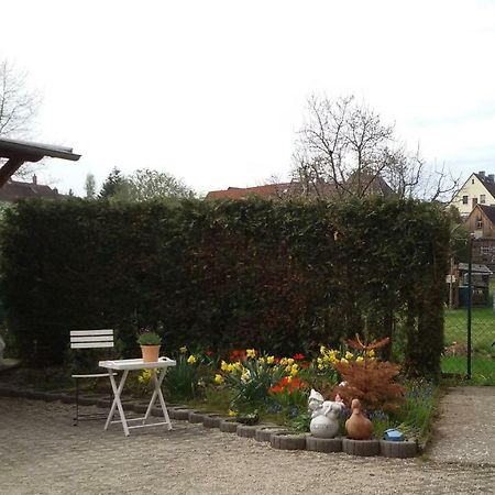 Wendler'S Haus Apartment Meuselwitz Exterior photo